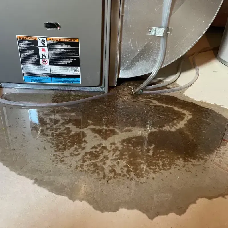 Appliance Leak Cleanup in Elkhorn, NE